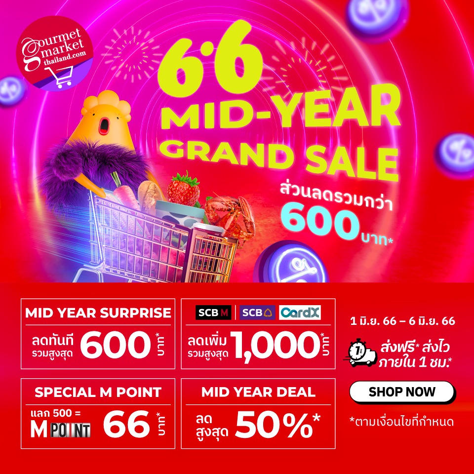 6.6 Mid Year Grand Sale