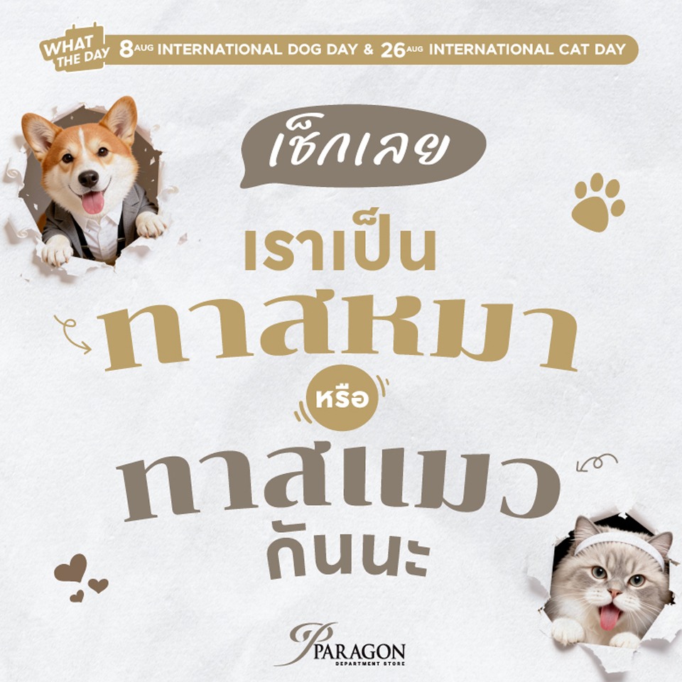 วันแมวโลก&วันสุนัขโลก เช็กเลยเราเป็นทาสหมาหรือทาสแมว 2026