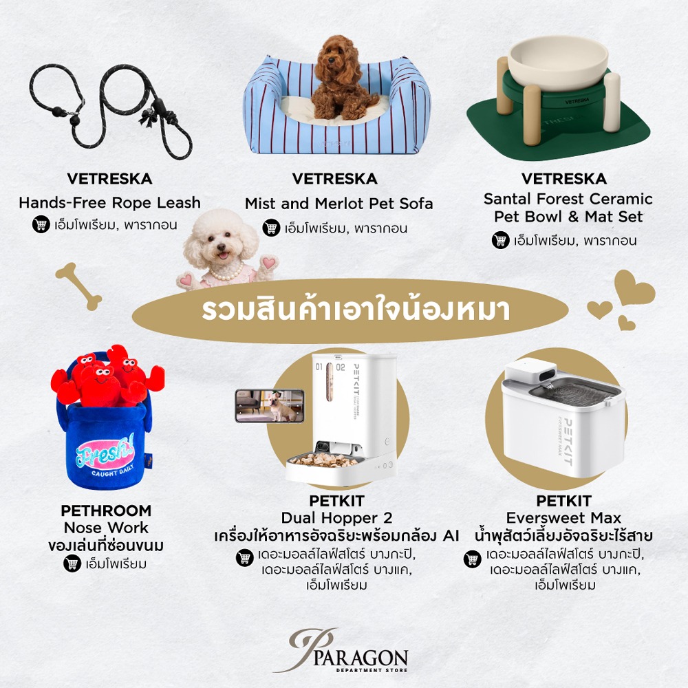 วันแมวโลก&วันสุนัขโลก เช็กเลยเราเป็นทาสหมาหรือทาสแมว 2026